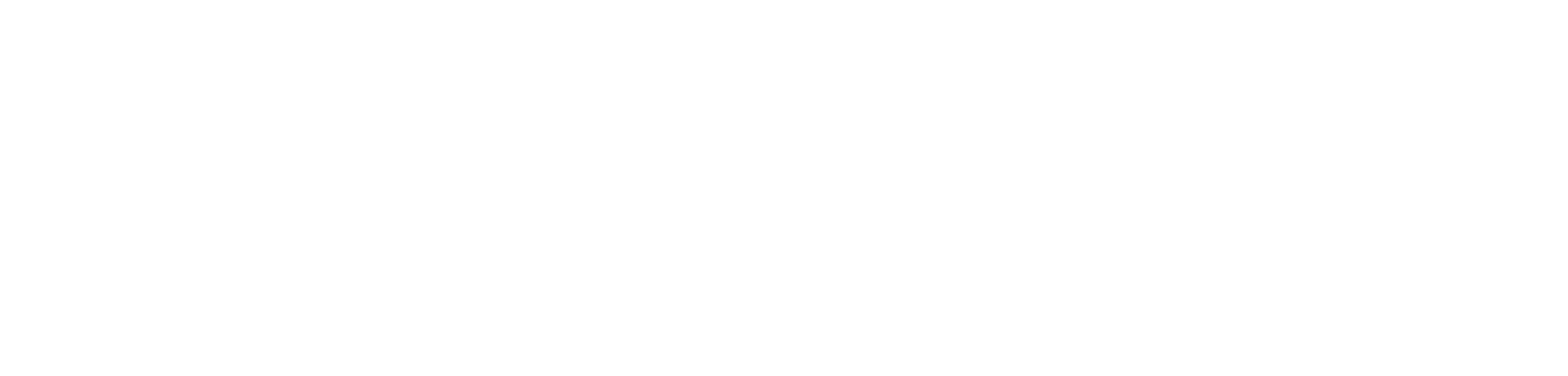 Marinexa Shipping Pvt Ltd